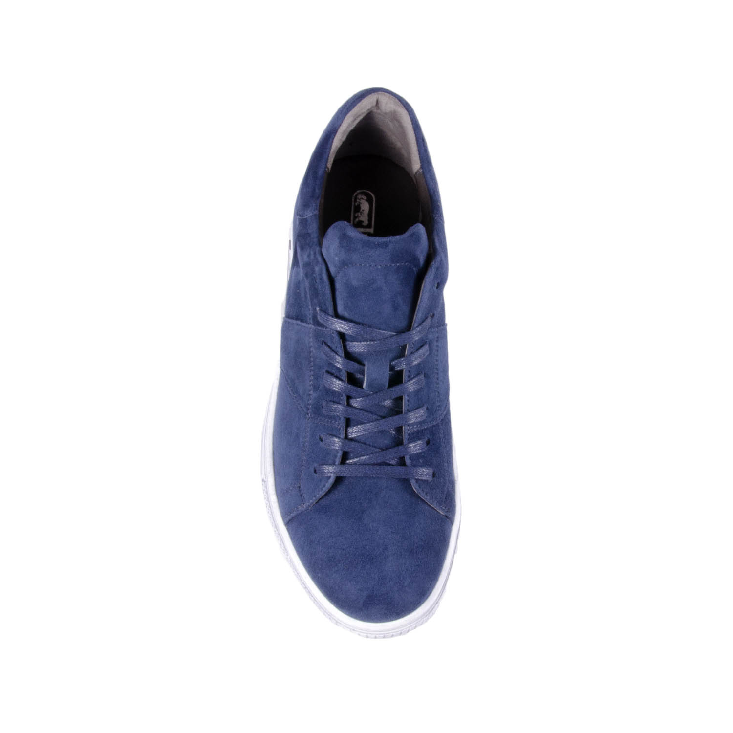 579_blue_2.jpg