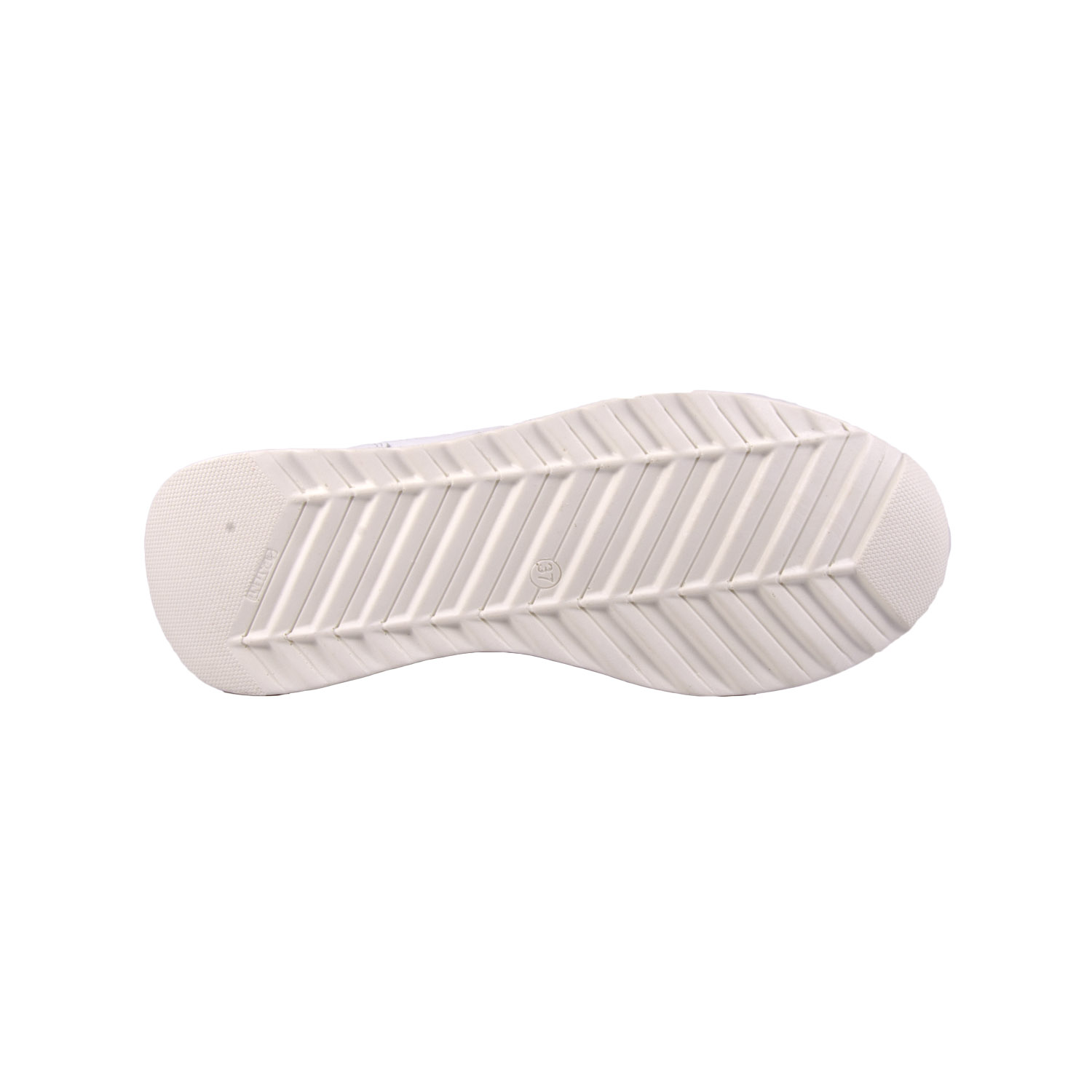 591_white_4.jpg